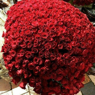 Telegram profile photo for Gulm🌹