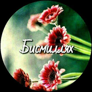 Telegram profile photo for SADAKA_nujdayushimsa