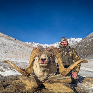 Telegram profile photo for Wildman