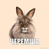 Telegram profile photo for Psychologia