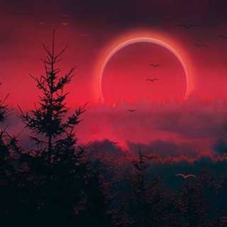 Telegram profile photo for Тропинка в чащу ( Магия , оккультизм )