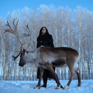 Telegram profile photo for Забытый мир волчонка