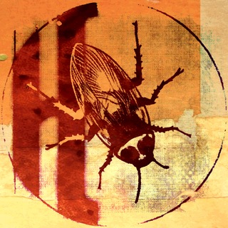 Telegram profile photo for KORN'a