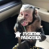 Telegram profile photo for ᴀʙᴀᴛᴀᴩᴋᴇ ᴏᴛ бᴇбᴇᴋи