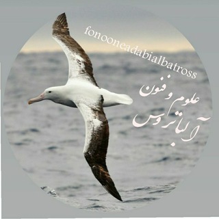 Telegram profile photo for علوم و فنون آلباتروس🕊