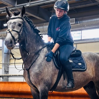 Telegram profile photo for Horse's time