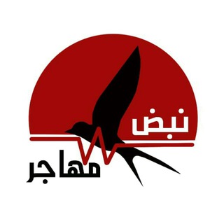 Telegram profile photo for نبض مهاجر