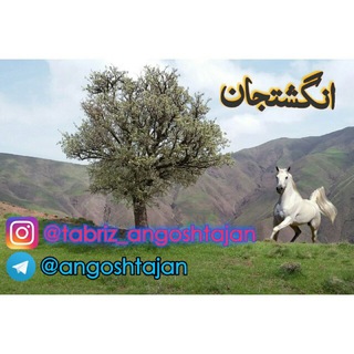 Telegram profile photo for کانال تبریزانگشتجان