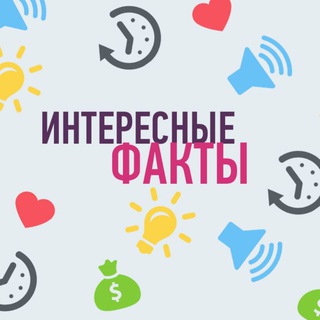 Telegram profile photo for Интересные факты🦉