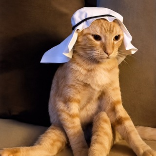 Telegram profile photo for Crude Cat
