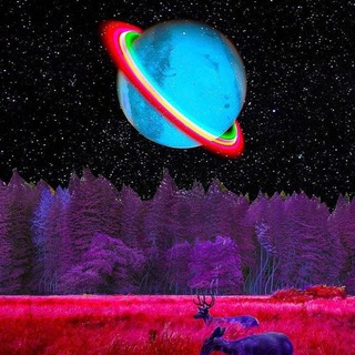 Telegram profile photo for Night Company