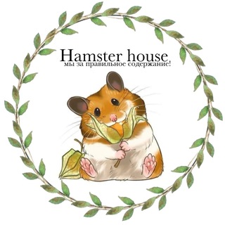 Telegram profile photo for Hamster House🐹