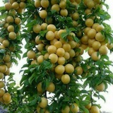 Telegram profile photo for قاطی پاطی