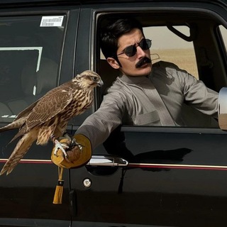 Telegram profile photo for حرفيّ