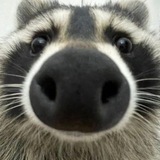 Telegram profile photo for veka info! . ⋆