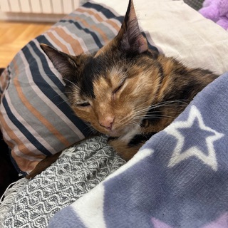 Telegram profile photo for Кладезь приколов