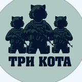 Telegram profile photo for Три Кота