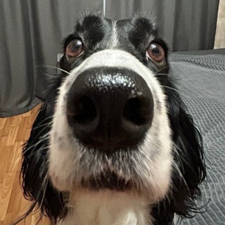 Telegram profile photo for Что-то с чем-то