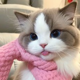 Telegram profile photo for dUmPp🎀🩰💗
