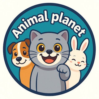 Telegram profile photo for Animal Planet 🌍