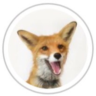 Telegram profile photo for Nixie_fox