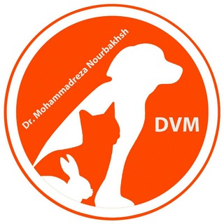 Telegram profile photo for Dr. Nourbakhsh