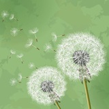 Telegram profile photo for dandelions !