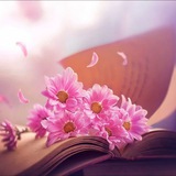 Telegram profile photo for 📚 شهید بشیم صلوات 🎧