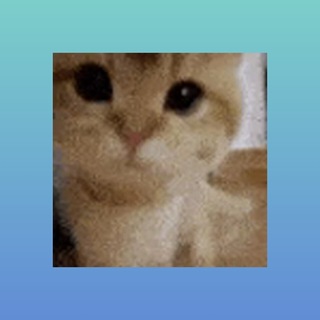 Telegram profile photo for Распродаю вещи Сабуртало
