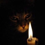 Telegram profile photo for BIO VIZKAZA