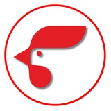Telegram profile photo for POULTRY.UZ