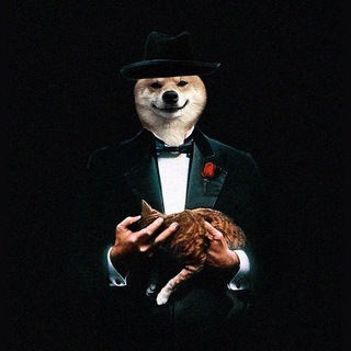 Telegram profile photo for ππ¨π π πππ§π