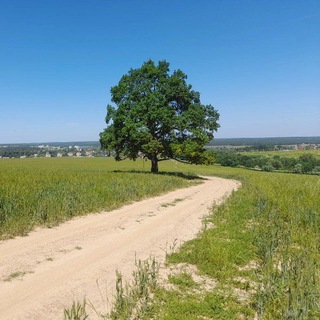 Telegram profile photo for Мир глазами агроэколога