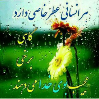 Telegram profile photo for 💚ریحانه های چادری💚