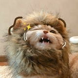 Telegram profile photo for Archived
