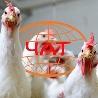 Telegram group profile photo for Чат НПК "Фарминдустрия" (птицеводство)