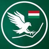 Telegram profile photo for Falcon Charts - Visszajelzések