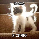 Telegram profile photo for Портфолио Чаёчка🍵🌸