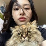 Telegram profile photo for format