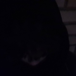 Telegram profile photo for Dанжер