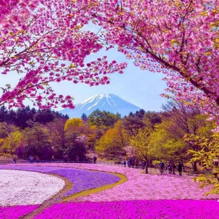 Telegram profile photo for 🍁 راه موفقیت 🍁
