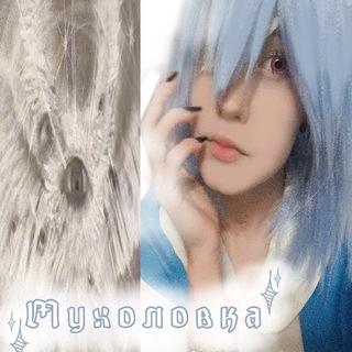 Telegram profile photo for 💥мyxoлovka💠