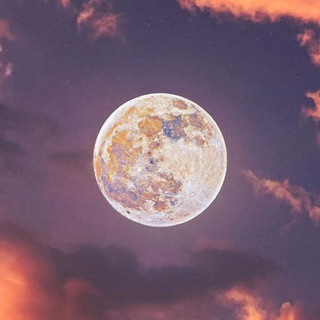 Telegram profile photo for المُتنَبي في اللغة العربية
