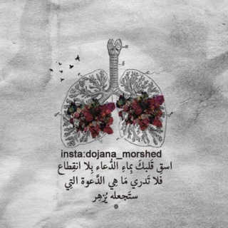 Telegram profile photo for وَنَحْنُ أَقرَب إِلَيهِ مِن حَبل الورّيد.