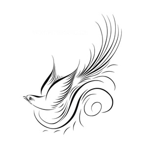 Telegram profile photo for The Namus