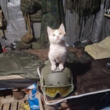 Telegram profile photo for СВОдки от БУРАНА