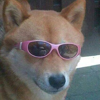Telegram profile photo for Лет ми спик