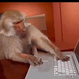 Telegram profile photo for MidasCrypto