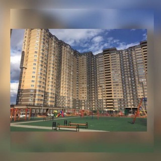 Telegram group profile photo for СтДмШ-11.