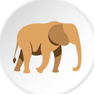 Telegram profile photo for Слон в лавке